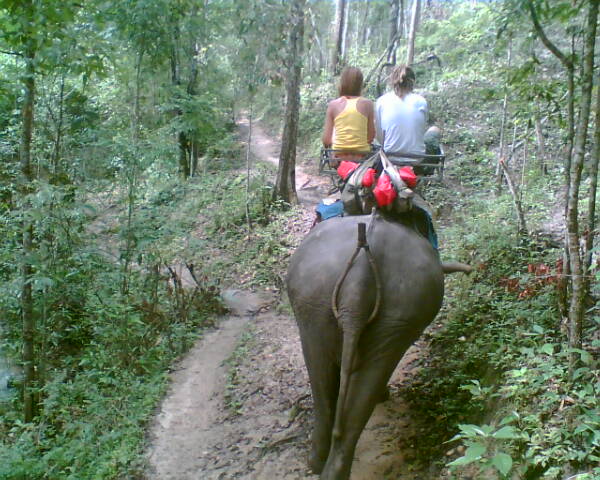 elephant ride.jpg